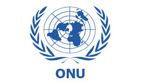 Organización de las Naciones Unidas (ONU)