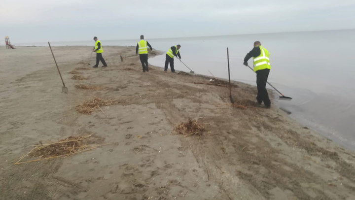 Miembros del dispositivo de limpieza de los espacios naturales costeros retiran cañas y algas en la zona de Los Urrutias (1)