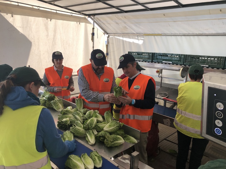 El consejero Miguel Ángel del Amor durante su visita a una plataforma hortícola en la pedanía de Balsapintada, Fuente Álamo