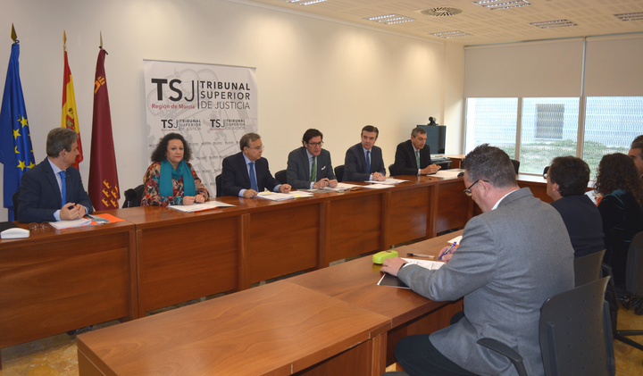 Grupo de Trabajo con el Tribunal Superior de Justicia