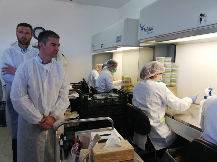 El consejero de Agua, Agricultura, Ganadería y Pesca visita una empresa de biotecnología vegetal en Caravaca de la Cruz