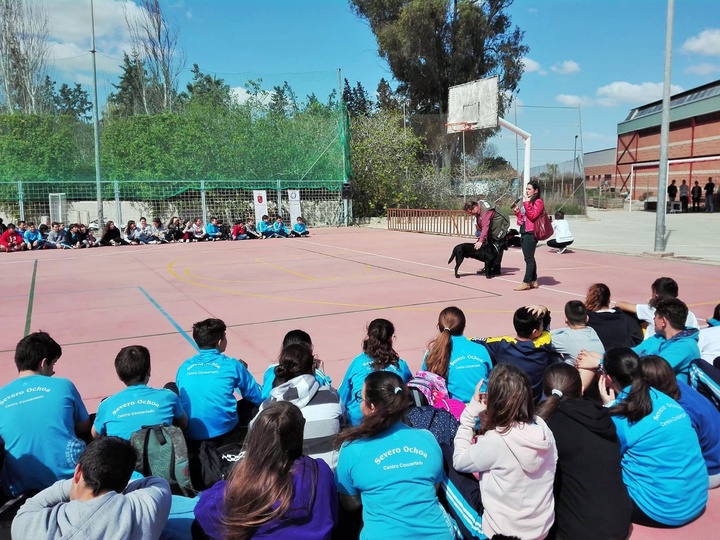 Demostraciones caninas para concienciar a los más jóvenes en la prevención de la violencia de género