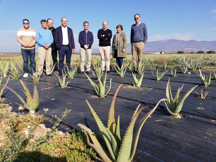 Del Amor, junto con los propietarios de la finca, la cual alberga 3,9 hectáreas de aloe vera