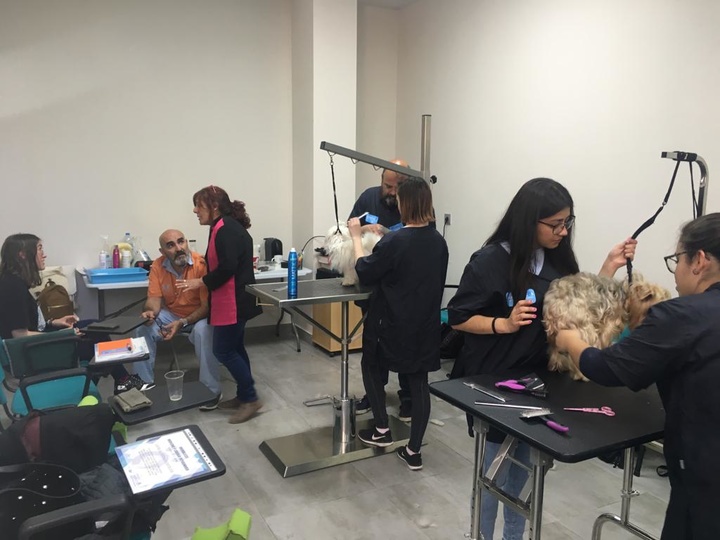Imágenes del curso del Servicio Regional de Empleo y Formación sobre peluquería canina, impartido por la entidad de formación Animalicos en Cabezo de Torres (Murcia)