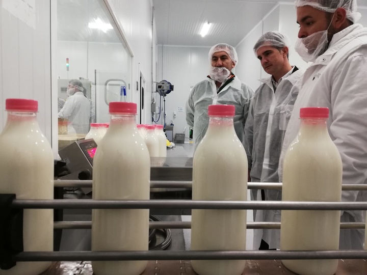 La Región produce más de 60 millones de litros de leche fresca de vaca
