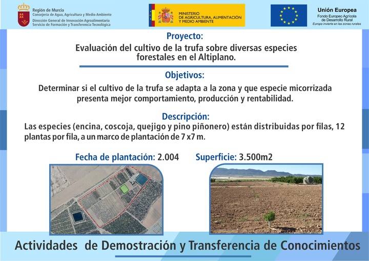 Cartel EVALUACIÓN DEL CULTIVO DE LA TRUFA SOBRE DIVERSAS ESPECIES FORESTALES EN EL ALTIPLANO