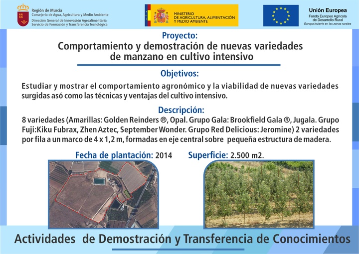 Cartel Fincas Manzano