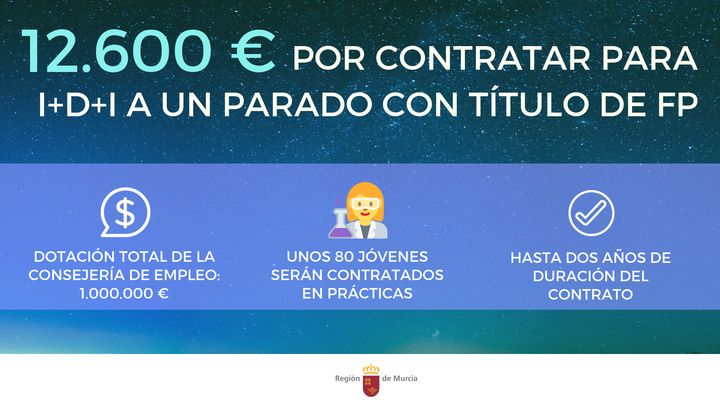 Gráfico de las ayudas para la incorporación de jóvenes desempleados con titulación de Formación Profesional