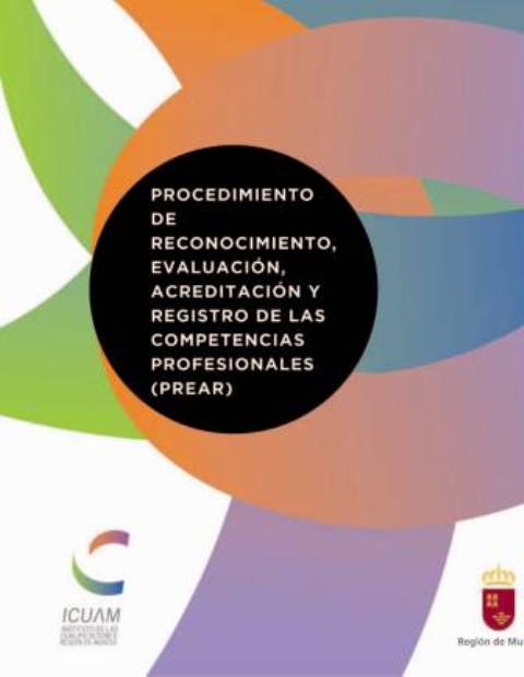 Portada de "Guía sobre el Procedimiento de Reconocimiento, Evaluación, Acreditación y Registro de competencias profesionales (PREAR)"