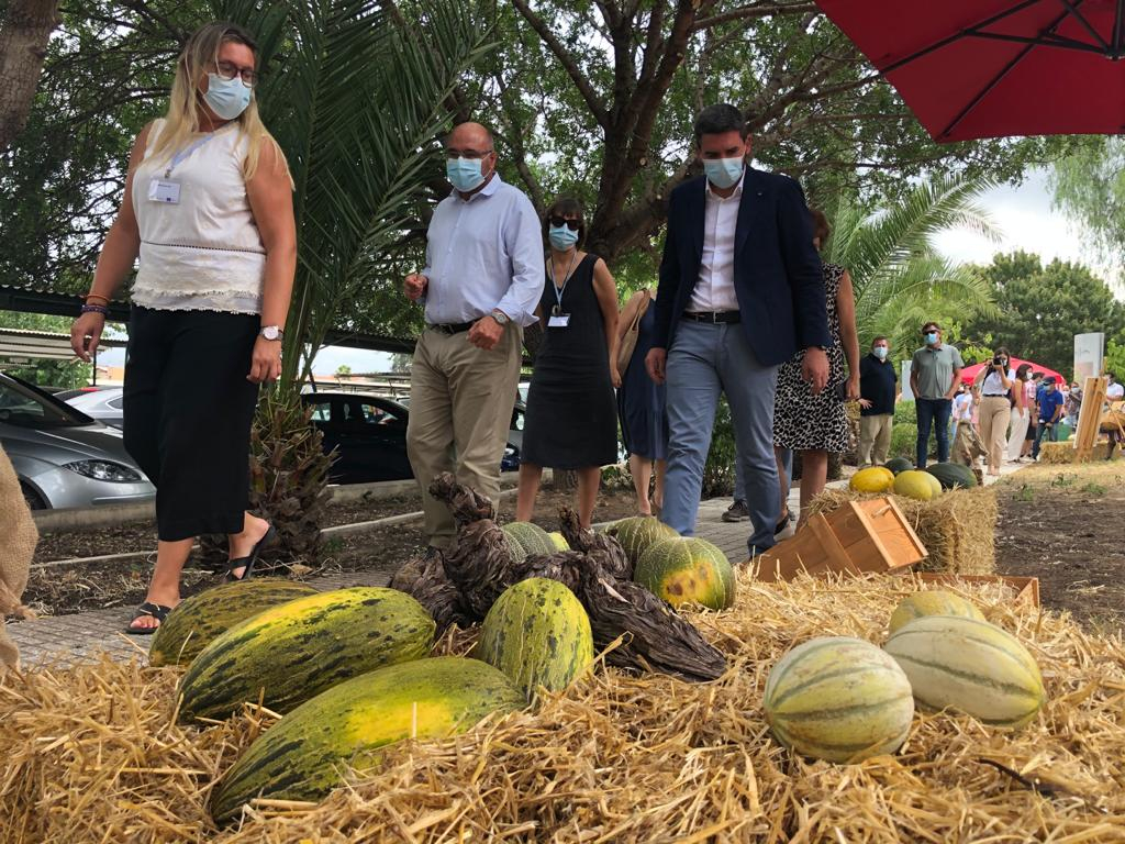 El consejero Antonio Luengo, durante su visita a la exposición de las distintas variedades de melones organizada en el Instituto Murciano de Investigación y Desarrollo Agrario y Medioambiental