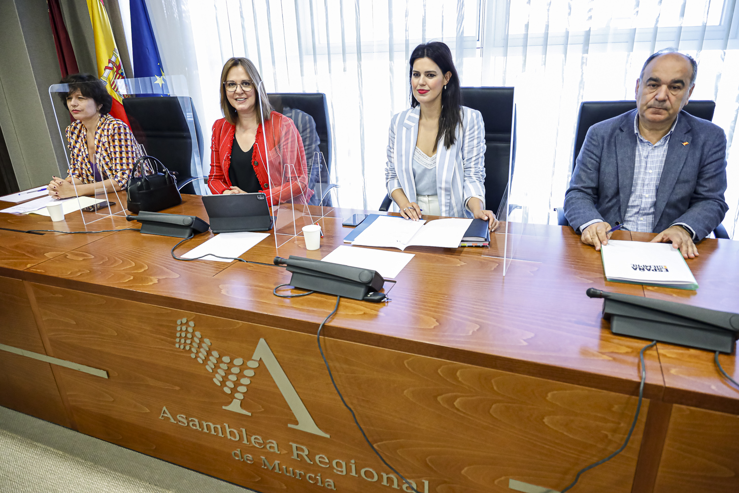 Comisión Especial de Infancia y Adolescencia de la Asamblea Regional