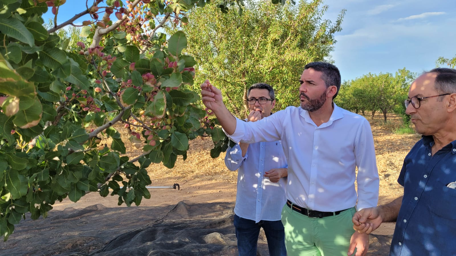 El consejero Antonio Luengo, durante su visita esta semana al Centro de Demostración Agraria 'Las Moreras'