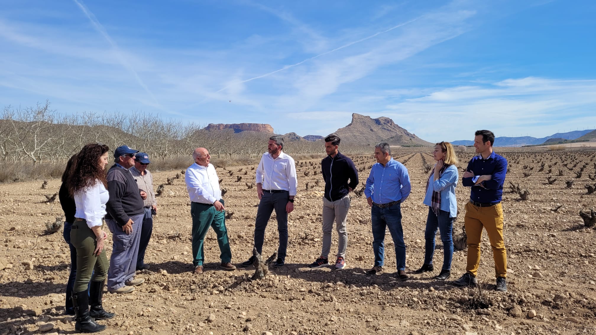 El consejero Antonio Luengo, durante su visita a la finca jumillana de viñedo viejo donde anunció la nueva línea de ayudas.