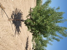 Glorieta (1)