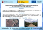 Cartel Fincas Melocotón