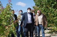 El presidente de la Comunidad, Fernando López Miras, visita una finca de cultivo ecológico de albaricoque/3