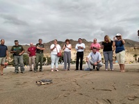 Momento de la liberación de una tortuga boba en Bolnuevo