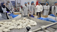 El consejero Antonio Luengo, durante su visita a las instalaciones de la empresa de pescado congelado New Concisa en Cieza