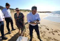 El consejero de Medio Ambiente, Mar Menor, Universidades e Investigación, Juan María Vázquez, durante la liberación de una tortuga boba tratada en el Centro de Recuperación de Fauna Silvestre El Valle.