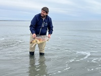 López Miras libera dos ejemplares de tortuga boba en San Pedro del Pinatar.