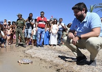 El presidente del Gobierno regional, Fernando López Miras, durante la suelta de 30 ejemplares de tortuga boba en playa de Isla Playa, en Cartagen...