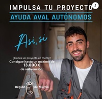 Ayudas Aval Autónomos