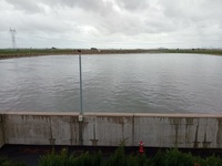 Tanque de tormentas de Torre Pacheco a pleno funcionamiento por las lluvias de ayer domingo