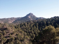 Sierra de La Pila en el término municipal de Fortuna.