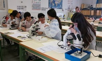 Alumnos trabajando con bacterias en el laboratorio del IES Vicente Medina de Archena