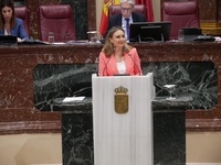 La consejera de Política Social, Familias e Igualdad, Conchita Ruiz, durante su comparecencia en la Asamblea Regional