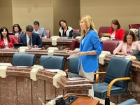 La consejera de Empresa, Empleo y Economía Social, Marisa López Aragón, durante su comparecencia en la Asamblea Regional.