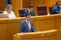 El consejero de Fomento e Infraestructuras, Jorge García Montoro, durante la intervención en el Senado para presentar el nuevo modelo de 'Vivienda...