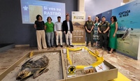 El consejero de Medio Ambiente, Universidades, Investigación y Mar Menor, Juan María Vázquez, en la exposición de 'Territorio Tortuga', sobre la ...