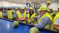 La consejera Sara Rubira, junto a la alcaldesa de Cartagena, Noelia Arroyo, y el CEO de JimboFresh, Miguel Angel Jim&eacute;nez, durante su visita a la ...