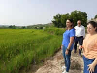 Imagen de la consejera Sara Rubira visitando los arrozales de la Dop Arroz de Calasparra en Moratalla