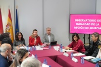 La consejera de Política Social, Familias e Igualdad, Conchita Ruiz, preside el Pleno del Observatorio de Igualdad