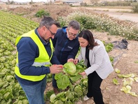 Imagen de la consejera Rubira, junto a agricultores, durante su visita a los cultivos m&aacute;s afectados en el municipio de Lorca.