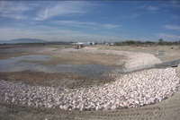 Imagen de las obras del sistema de drenaje sostenible desarrollado por el Gobierno regional en el pol&iacute;gono industrial El Saladar I, en Lorqu&iacute;.
