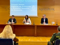 Imagen de la consejera Sara Rubira durante la reuni&oacute;n del Consejo Asesor Regional de Protecci&oacute;n y Bienestar de Animales de Compa&ntilde;&iacute;a.