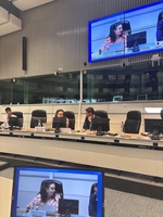 La directora de Uni&oacute;n Europea, Mar&iacute;a Cruz Ferreira, interviene en la clausura del proyecto europeo Life Token CO2 en el Comit&eacute; Europeo de las Reg...