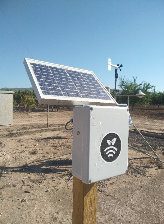 Sondas de humedad instaladas en el Centro Integrado de Formación y Experiencias Agrarias de Lorca de Jumilla para reducir el uso de agua y fertilizantes...
