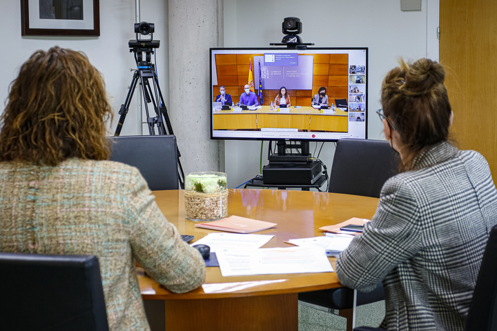 La vicepresidenta y consejera de Mujer, Igualdad, LGTBI, Familias y Política Social, Isabel Franco, participa por videoconferencia en la Conferencia Sectorial de Infancia y Adolescencia