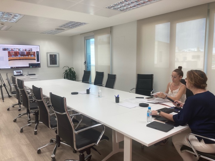 La consejera Isabel Franco participa en la Conferencia Sectorial de Infancia y Adolescencia