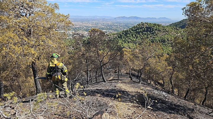 Aspecto que tiene la zona afectada por el incendio del pasado 29 de agosto en El Valle Perdido (1)