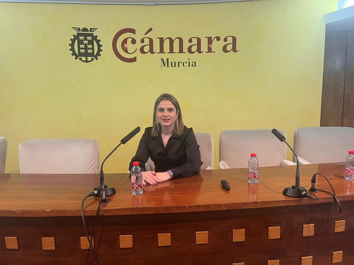 La directora general de Movilidad y Transporte, María Dolores Solana, en la jornada 'Electrificación del Transporte Pesado' celebrada hoy en la Cámara de Comercio