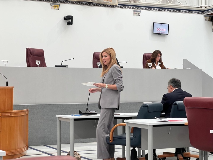 La consejera de Empresa, Empleo y Economía Social en la Asamblea Regional