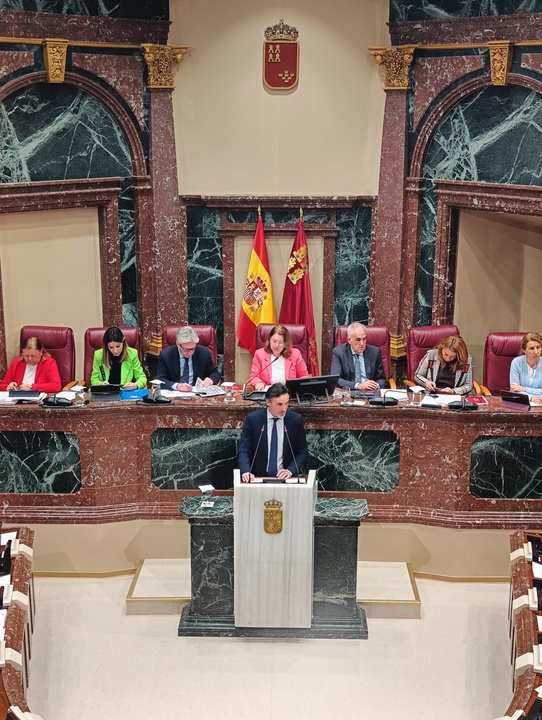 El consejero de Fomento e Infraestructuras, Jorge García Montoro, durante su comparecencia en la Asamblea Regional