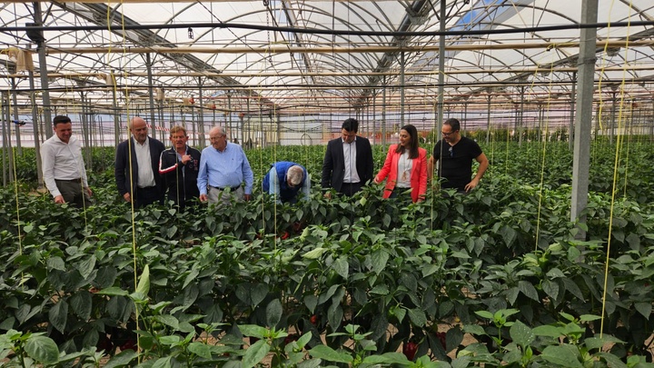 Imagen de la consejera Sara Rubira visitando el cultivo de pimiento Ecológico de la empresa Hortamira junto al alcalde de San Javier y los responsables...