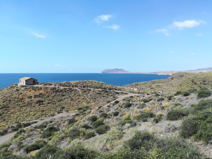 Comunidades de matorrales en el Parque Regional de Calnegre y Cabo Cope.