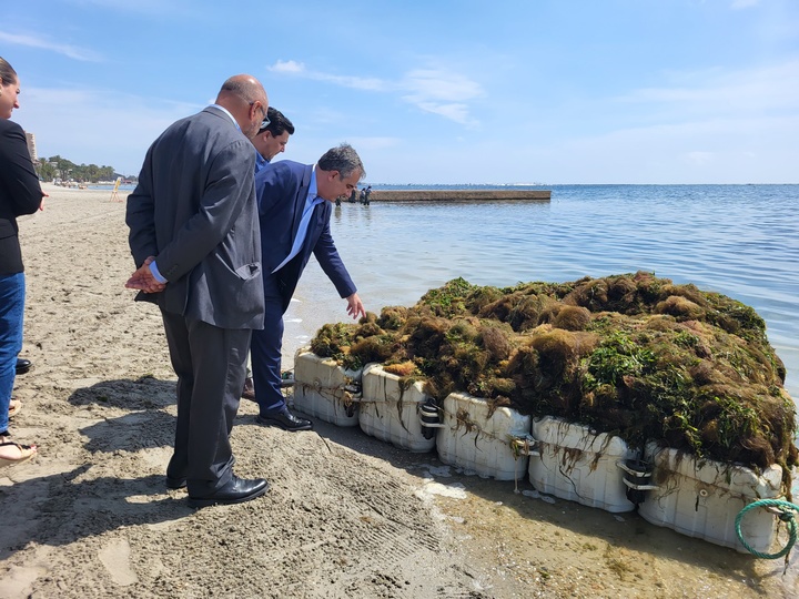 El consejero de Medio Ambiente, Universidades, Investigación y Mar Menor, Juan María Vázquez, junto con el alcalde de San Javier, José Miguel Luengo, visita a las brigadas de recogida de biomasa en el Mar Menor (2).